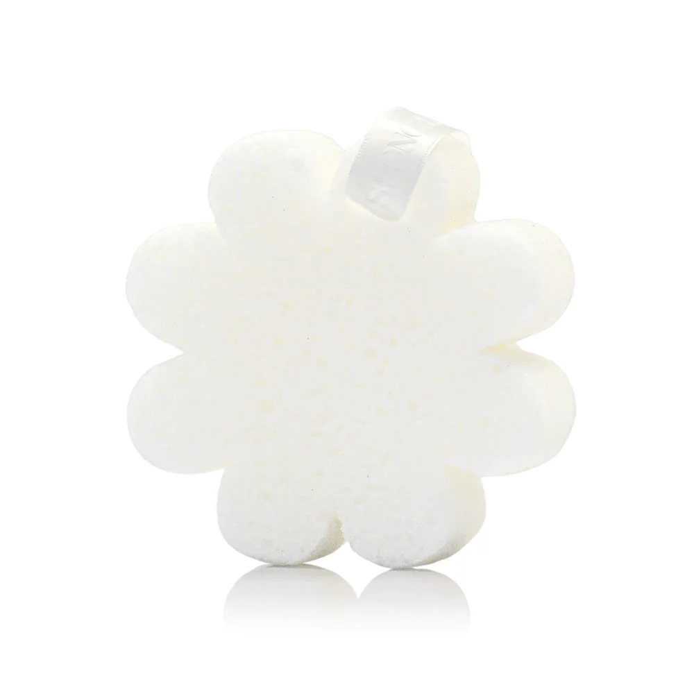 Coconut Verbena | Boxed Flower - Image 5