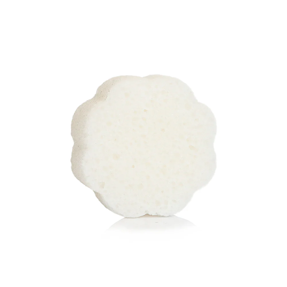 Sego Lily | Elevation Spongette - Image 4