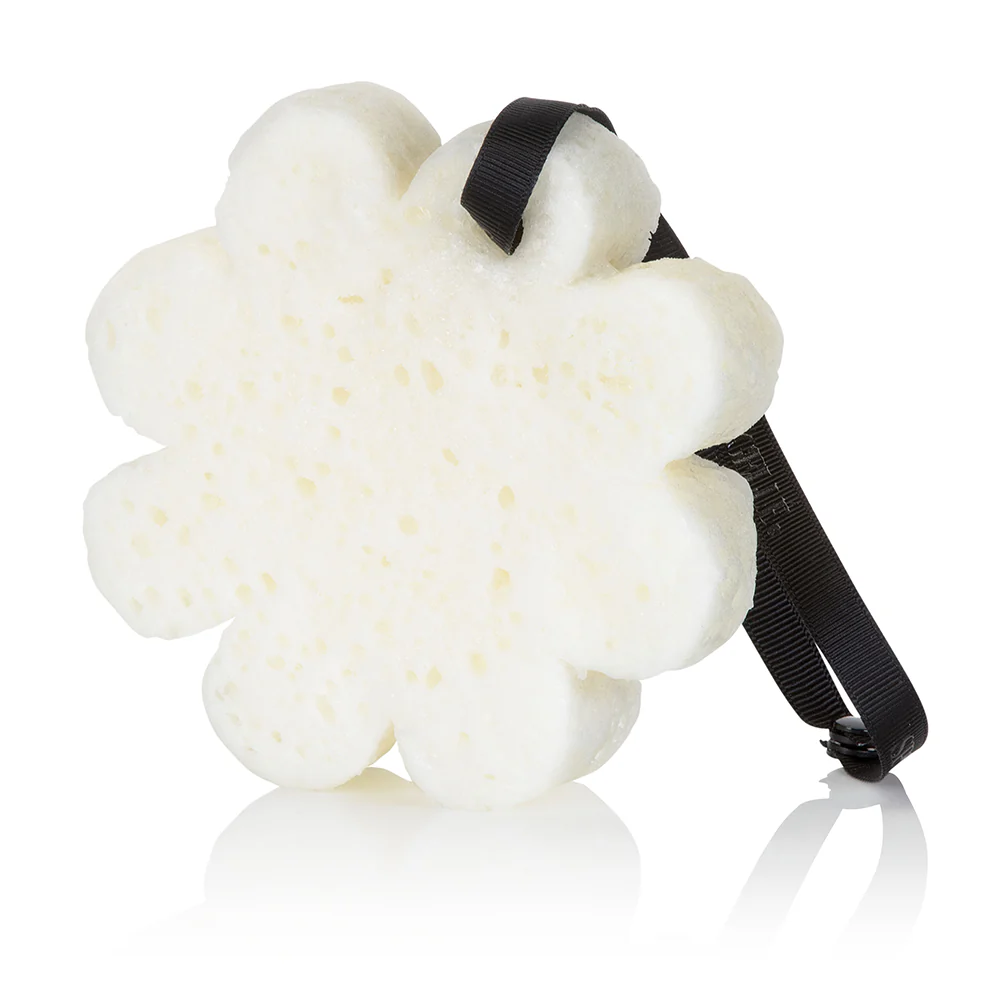 Tobacco Vanilla | Boxed Flower - Image 5